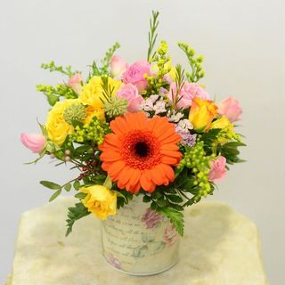 Aranjamentul  zilei la libera noastra alegere