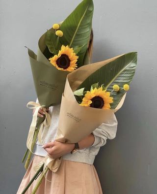 მზესუმზირა