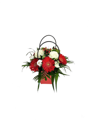 Cosulet Red
