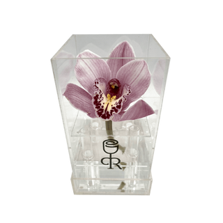 Orquidea En Caja Acrilica