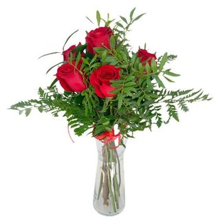 Media Docena Rosas Rojas