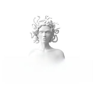 Свински котлет цигулка с печен картоф и сос Чимичури с лешници