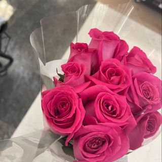 10 roses fuchsia emballé 