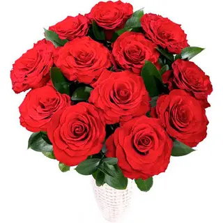 12 Rose rosse cm 80 Ecuador