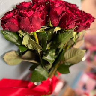 Czerwone róże  9 sztuk (50sm.)