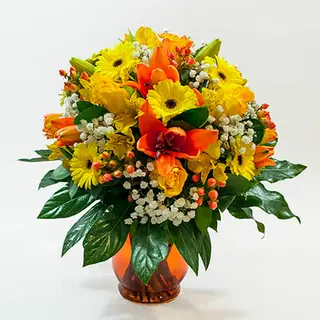 Alegre Primavera