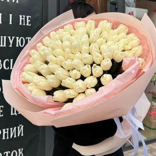 101 білий тюльпан 