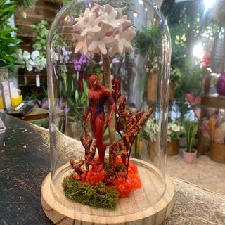 Cúpula con Biznaga y SúperHéroe "Araña"