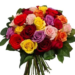 31 Trandafiri multicolori