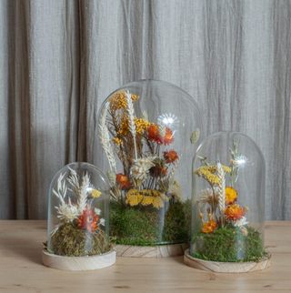 Fanal Flores Preservadas Mostaza Pequeño