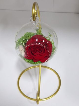 Aranjament Trandafir Criogenat Rosu