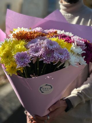 ფერადი ქრიზანთემა(20ტოტი)