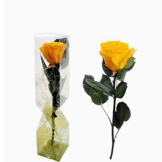 Rosa Eterna Amarilla