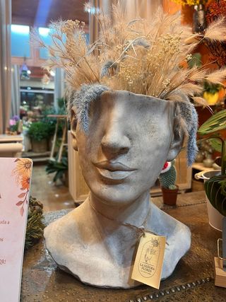 Cabeza Cemento Flor Seca