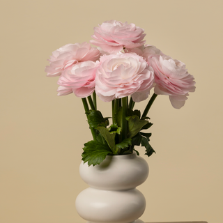 Ramo de Ranunculos rosas (8 tallos)