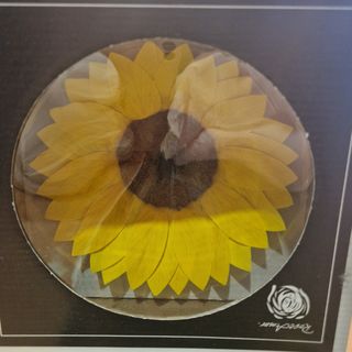 Cabeza de girasol preservada 