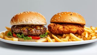 Mix Box( classic chicken et Classic Boeuf)