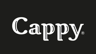 Cappy pomarańczowy 330 ml