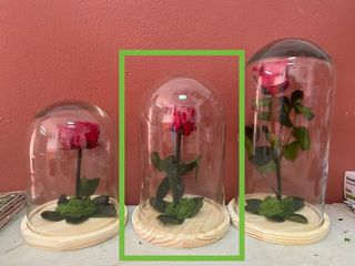 Cúpula Preservada 22Cm