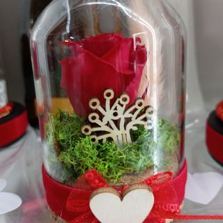 La bella e la bestia mini