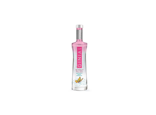 Ginebra Ginial