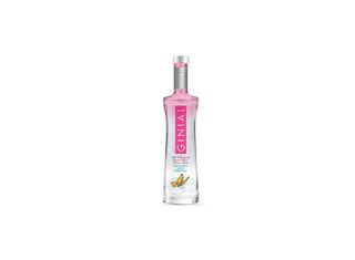 Ginebra Ginial