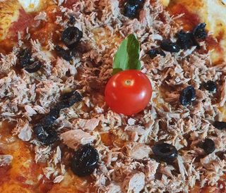  Pizza   normal neptune 