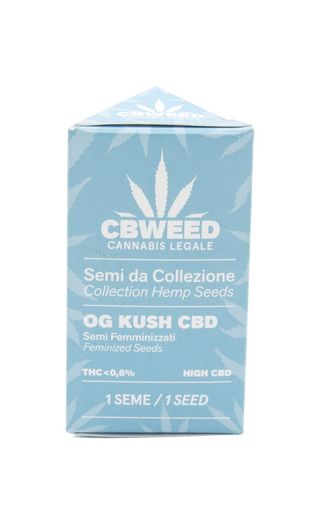 Cbweed Semilla Feminizada Cbd Y Kush N.1