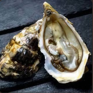 Устриця Фін де Клер номер 3 (30г/1шт)