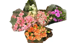 მიხაკები
