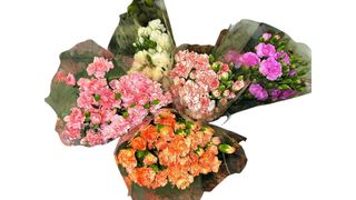 მიხაკები