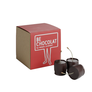 Griottines Licor 25º Cubo 300G