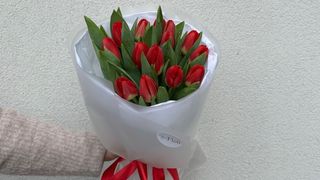 Bukiet czerwonych tulipanów - 15 sztuk