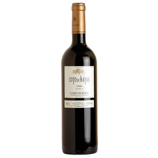 Vi Dominio Basconcillos (750 Ml.)