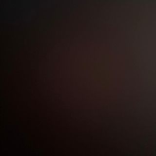 Guacamole fresco con totopos