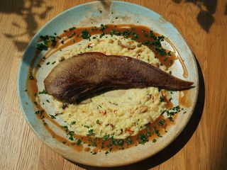 Язик-гриль на грибному різотто (400g)