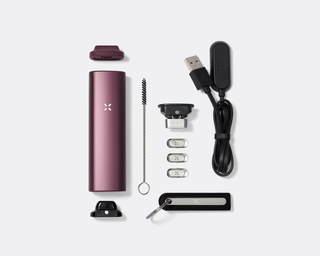 PAX Plus Elderberry