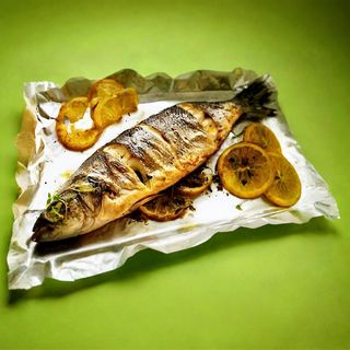 European Bass (Levrek)