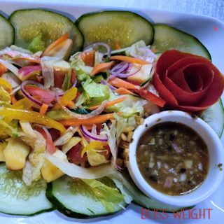 Bliss Weight Watcher