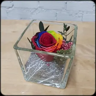 Rosa Arcoíris Preservada En Cristal