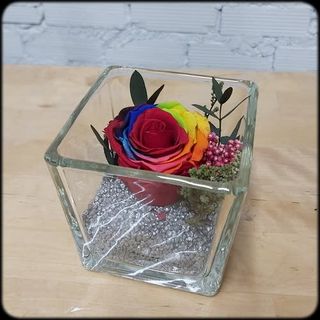 Rosa Arcoíris Preservada En Cristal