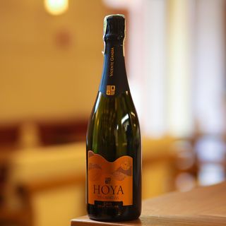 Вино Cava Nature Hoya de Cadenas біле брют натур 11.5% 750мл