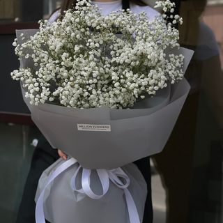 9 гілочок білої гіпсофіли 