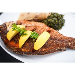 Fish