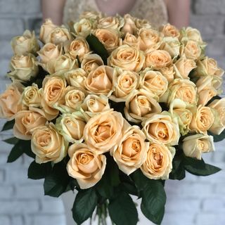 51 роза "Пич Аваланч"