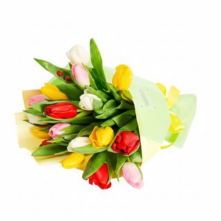 17 різнокольорових тюльпанів з повітряними кулями