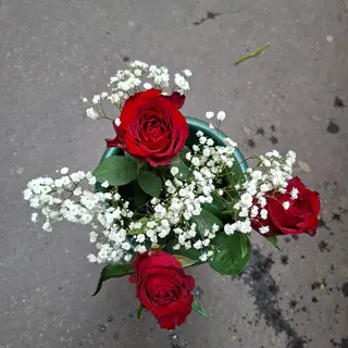 3. Rosa 