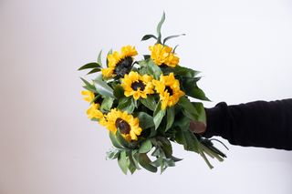 girasoli