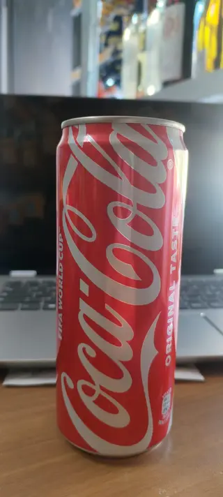 Coca-Cola Lattina 330 ml