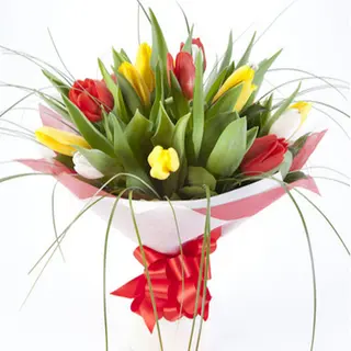 mieszanka tulipanów 